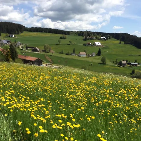 Robin Apartment Titisee-Neustadt