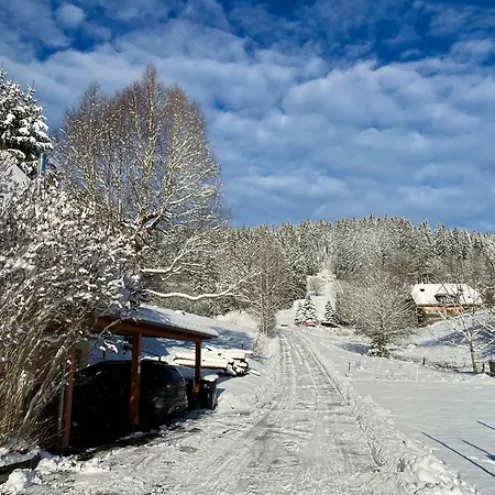 Apartment Robin Titisee-Neustadt