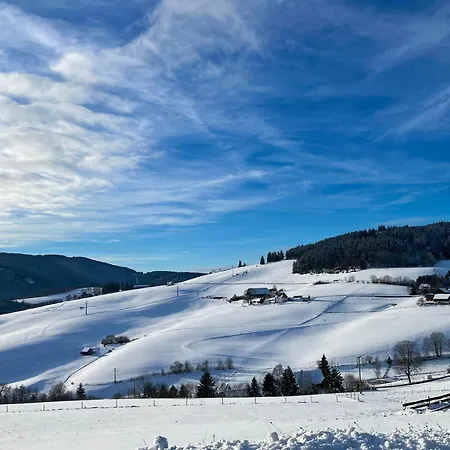 Apartment Robin Titisee-Neustadt