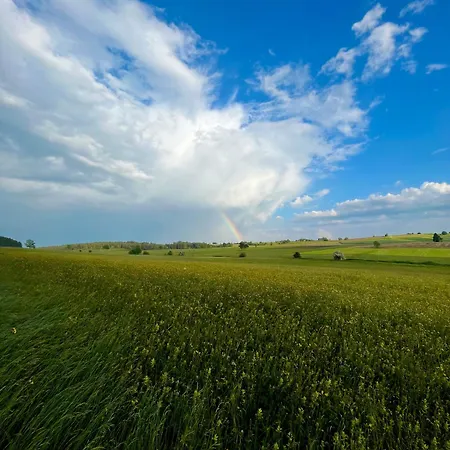 Robin Titisee-Neustadt