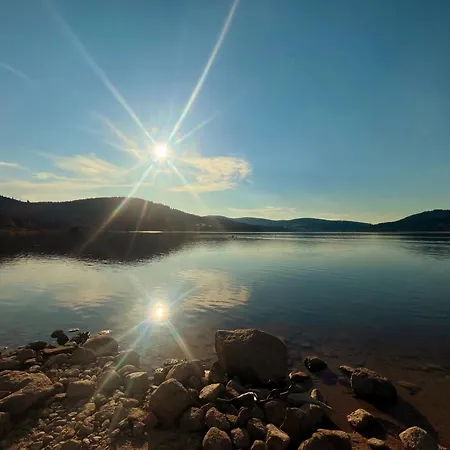 Robin * Titisee-Neustadt
