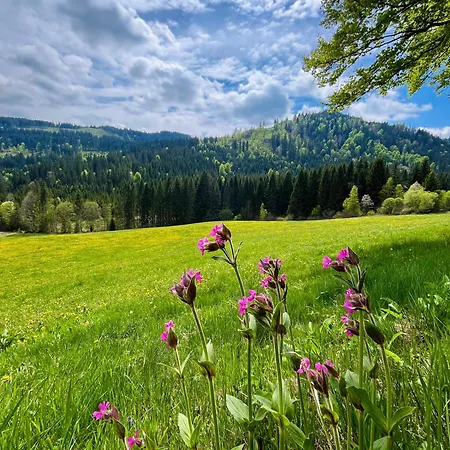 Apartmán Robin Titisee-Neustadt