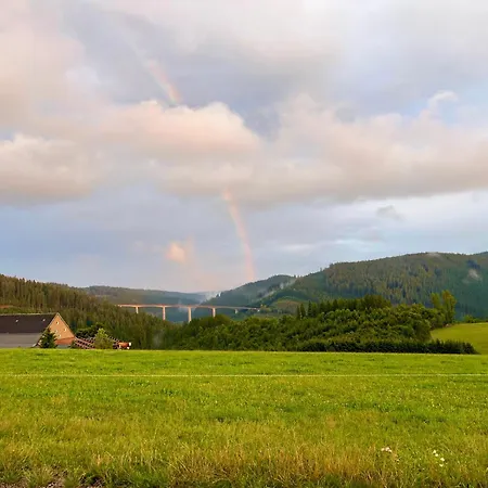 Robin * Titisee-Neustadt