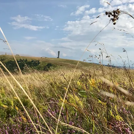 Robin Titisee-Neustadt