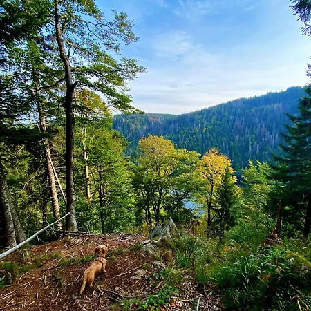 Apartmán Robin Titisee-Neustadt