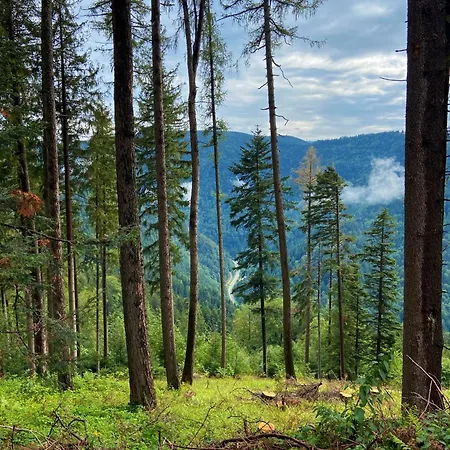 Robin Apartmán Titisee-Neustadt