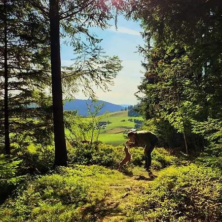 Apartmán Robin Titisee-Neustadt